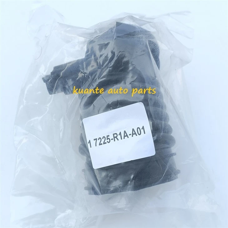 17225-R1A-A01